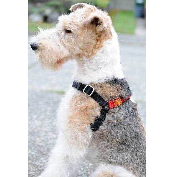 Dog Harness T9571