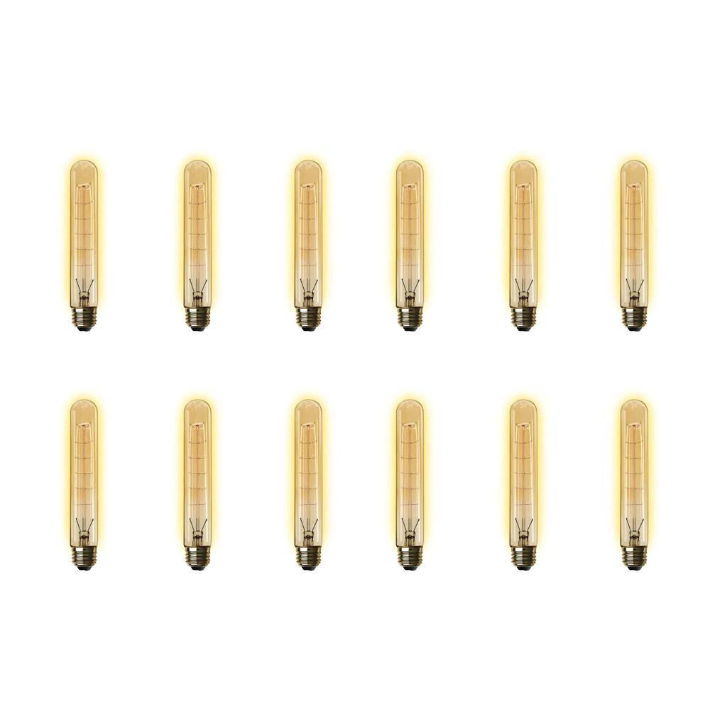 60W Equivalent T10 Dimmable Incandescent Amber Glass Light Bulb (12-Pack) H21822