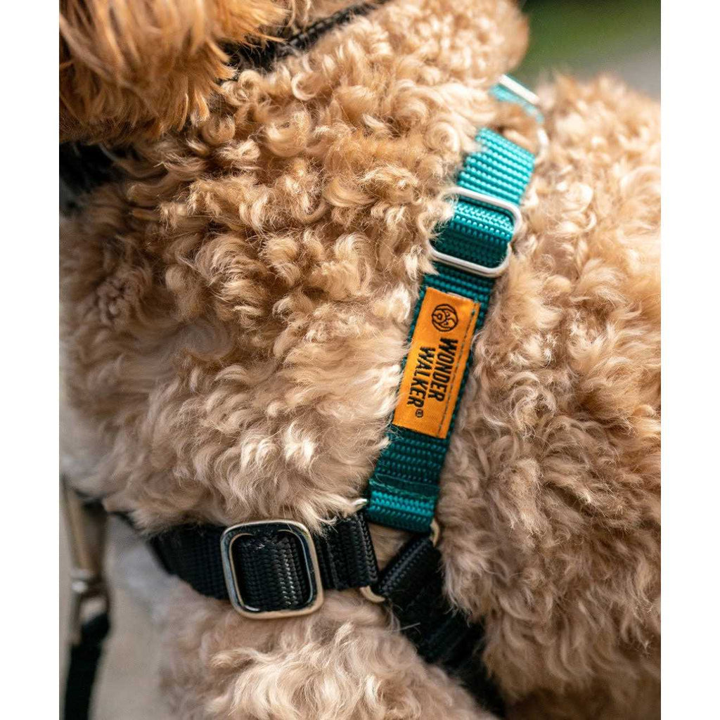 Dog Harness T9571