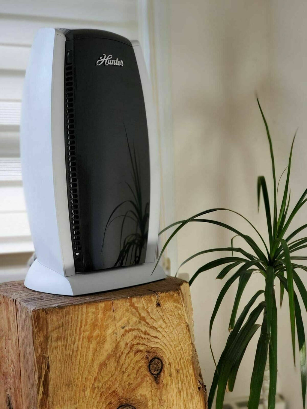 HEPA+ Air Purifier C81833