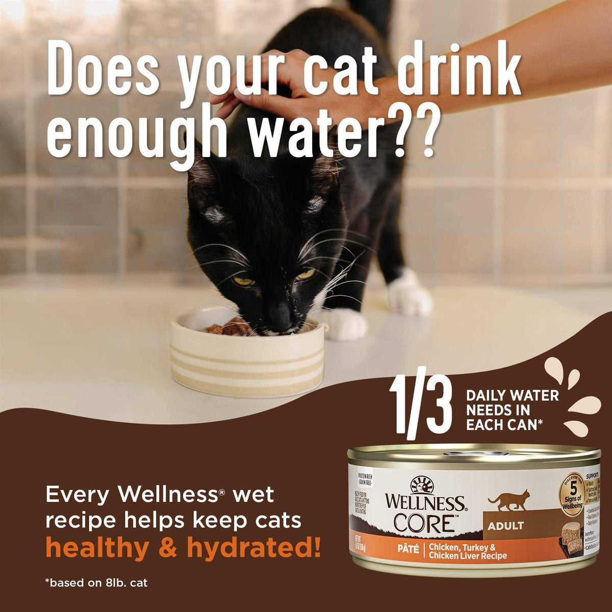 Digestive Health Pate Recipe Wet Cat Food C48319