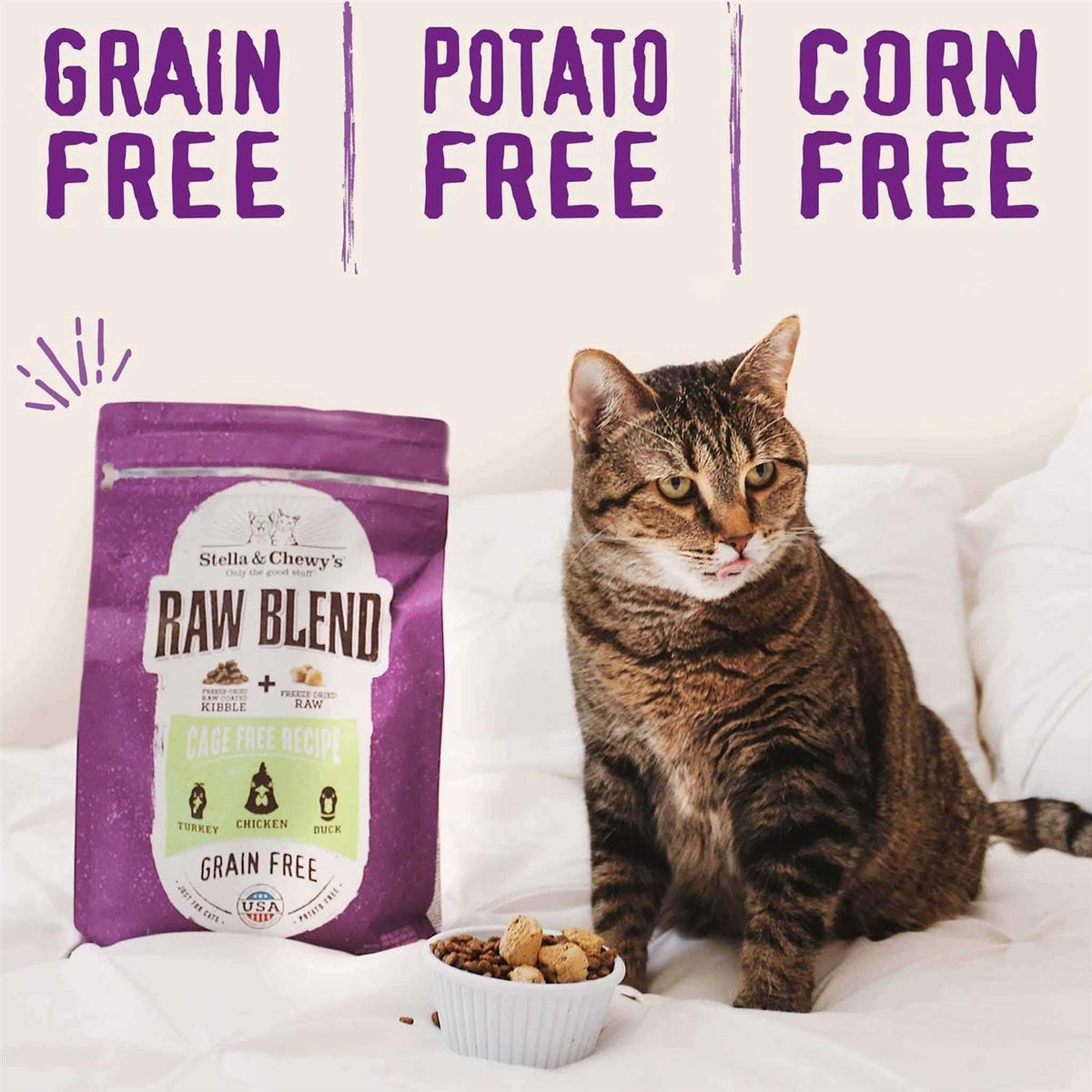 Dry Cat Food O667868