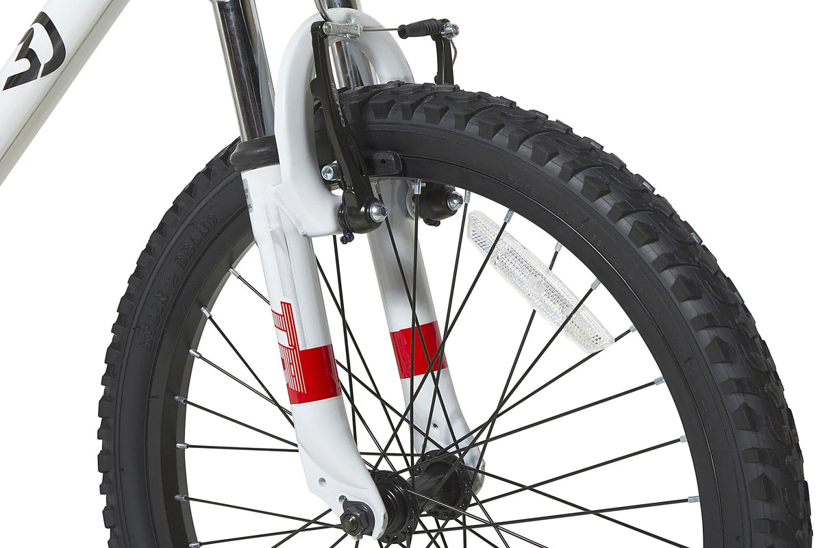 20-Inch Boys BMX Bike V8855