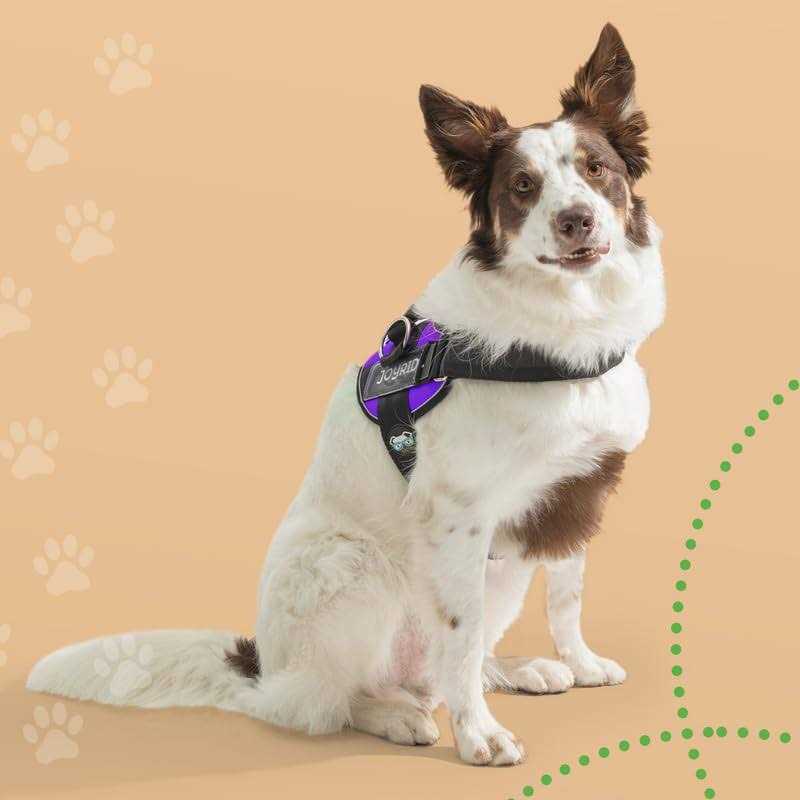 No Pull Easy On-Off Dog Harness M677