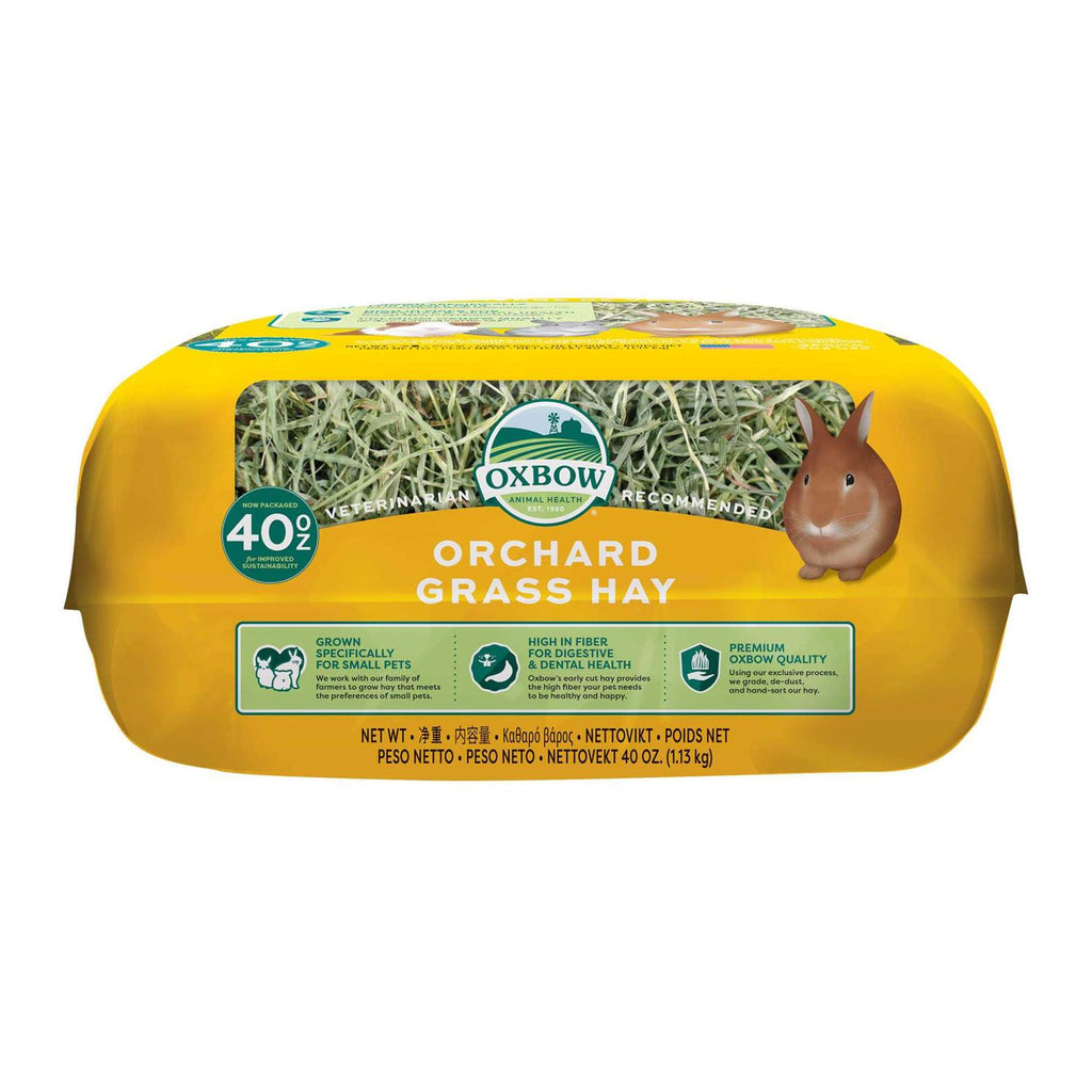 Orchard Grass Hay J336825