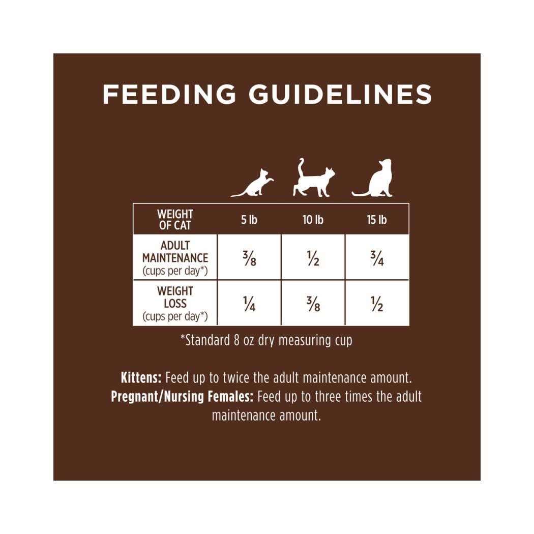 Grain Free Dry Cat Food E3179