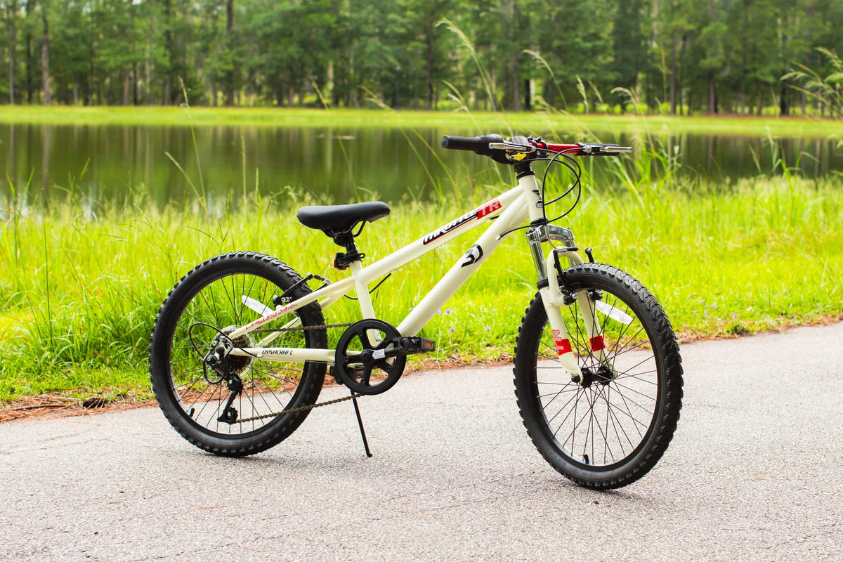 20-Inch Boys BMX Bike V8855