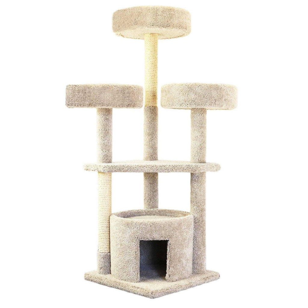 Large Cat House N2847