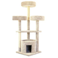 Large Cat House N2847