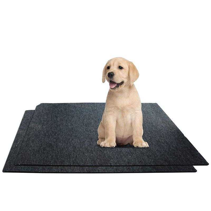 Washable Potty Pads B635188