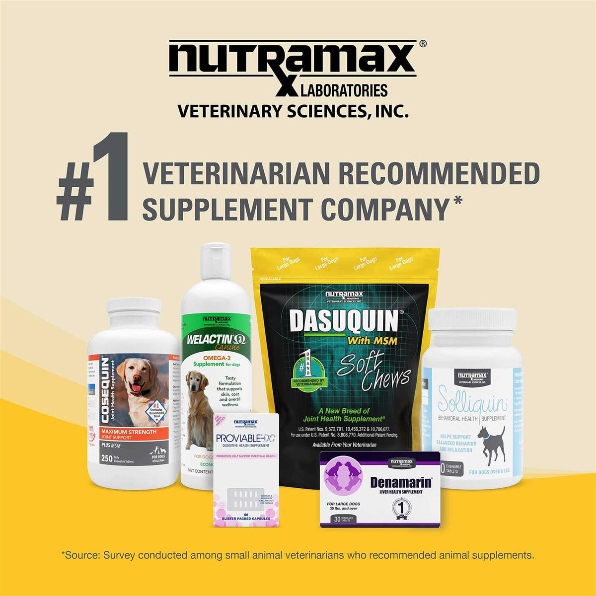 Soft Chews Joint Health Supplement Dogs M77338