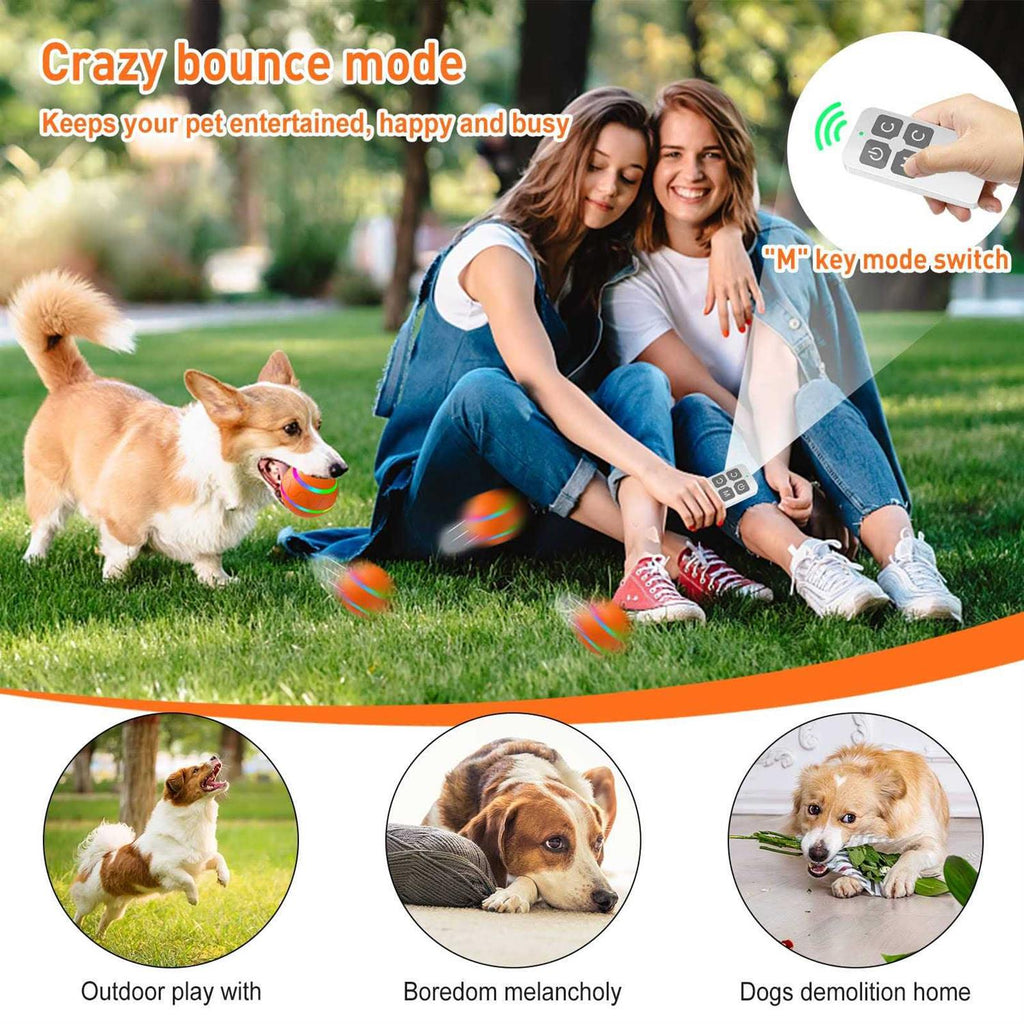 Interactive Dog Toys Ball N17656