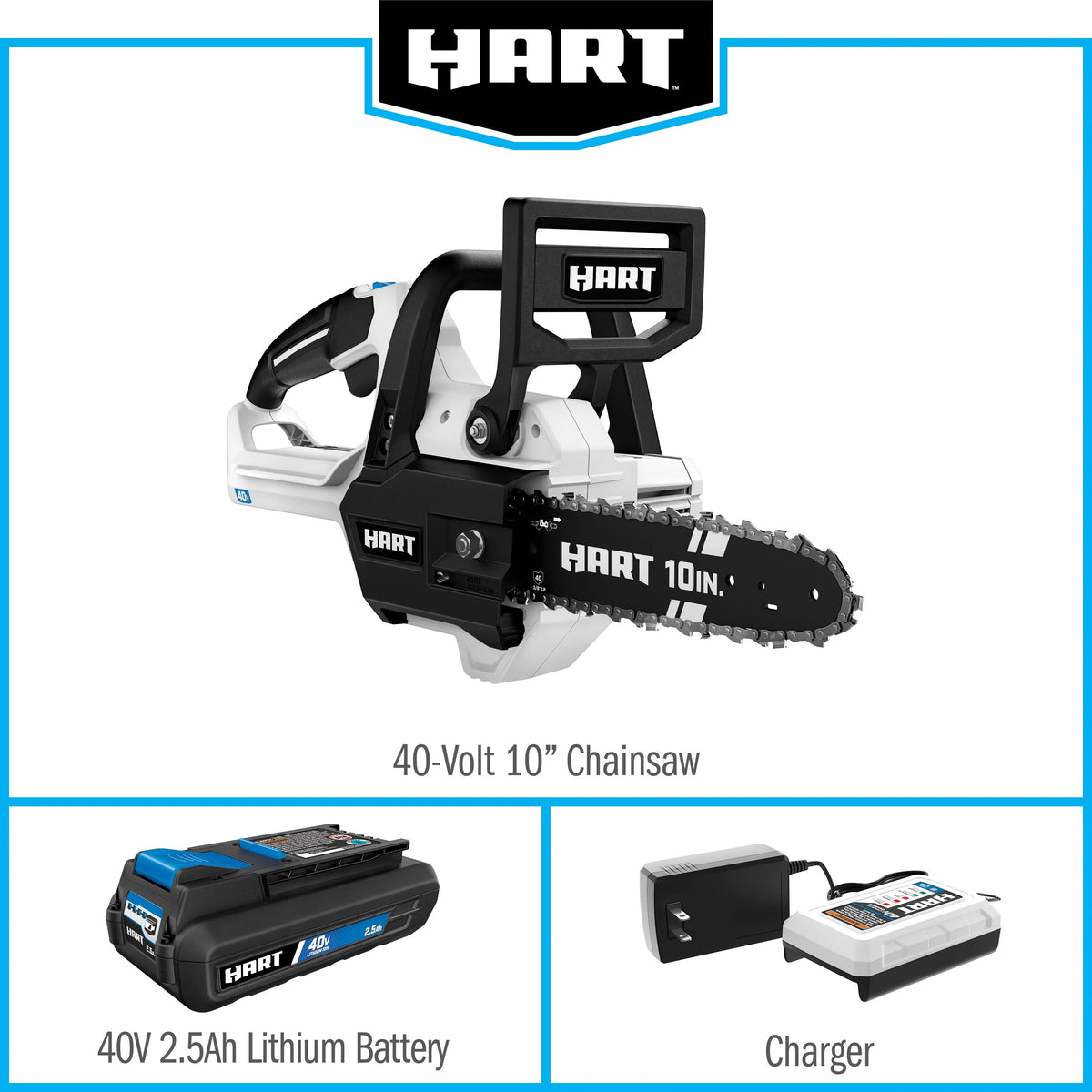 10-Inch Battery-Powered Chainsaw Kit A2910