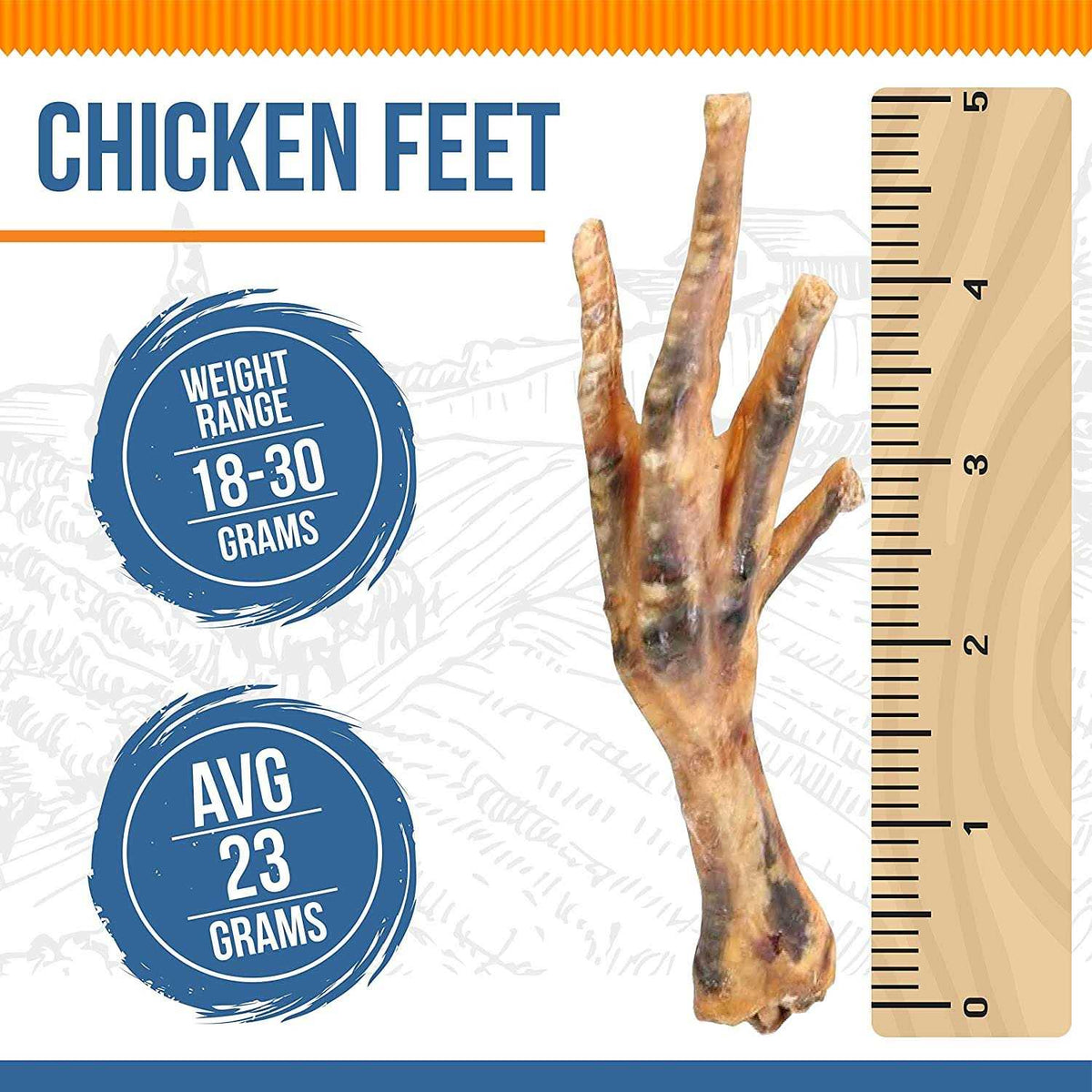 Chicken Feet Dog P310