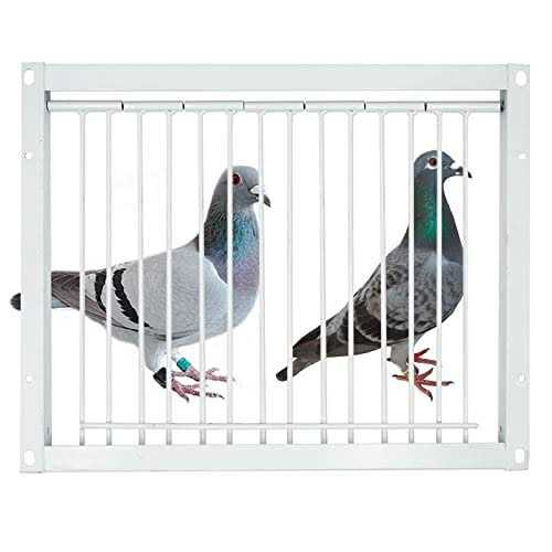 30cm Pigeon Cage One Way Entrance Door W308299