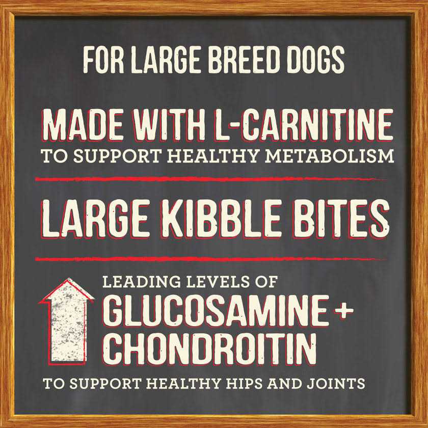 Healthy Grains Dry Dog Food Large Breed Recipe S9668