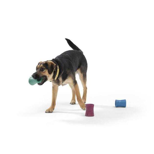 Dog Toy R5486