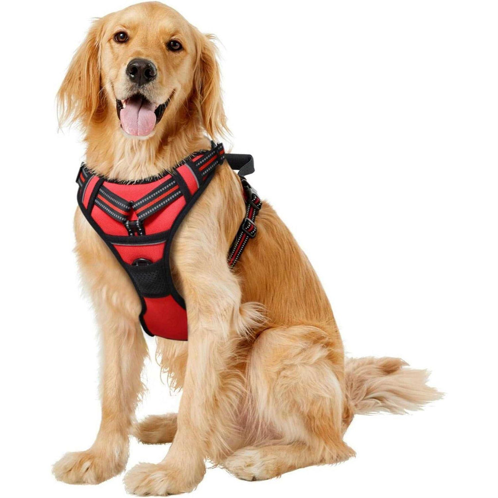Padded Reflective Dog Harness D300674